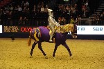Quadrille - 00545